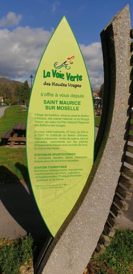 Au Bonheur Fait Maison Panzió Saint-Maurice-sur-Moselle Kültér fotó