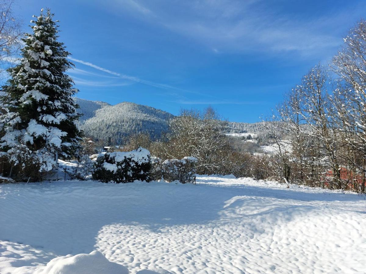 Au Bonheur Fait Maison Panzió Saint-Maurice-sur-Moselle Kültér fotó